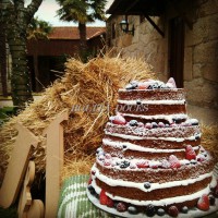 /album/galeria-de-fotos-bolos-festivos/img-20150328-165710-jpg/